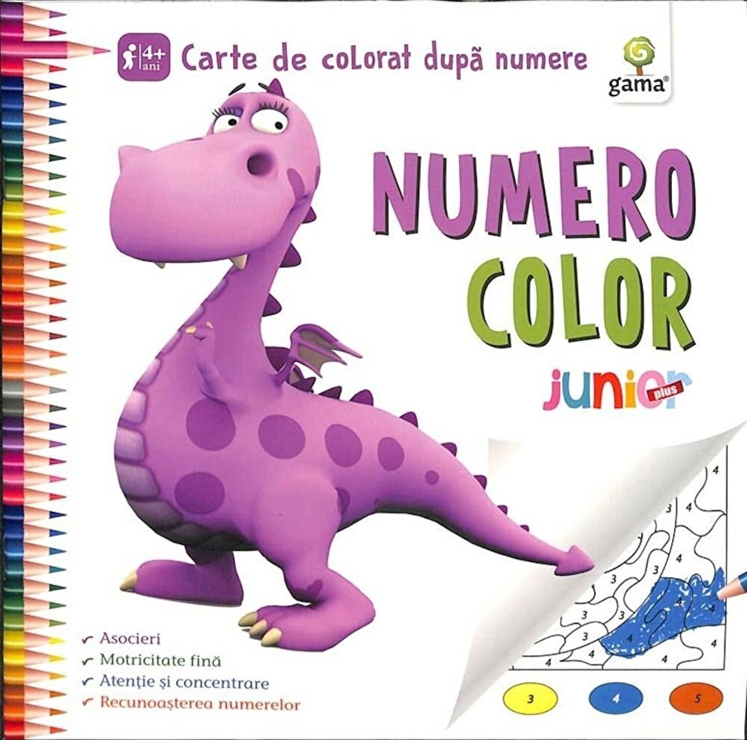 NumeroColor • Junior Plus