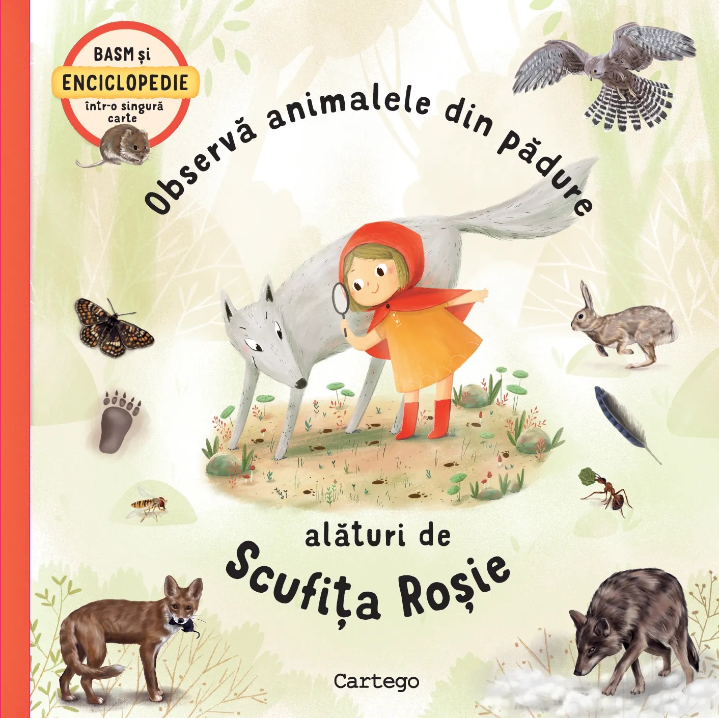 Observa animalele din padure impreuna cu Scufita Rosie