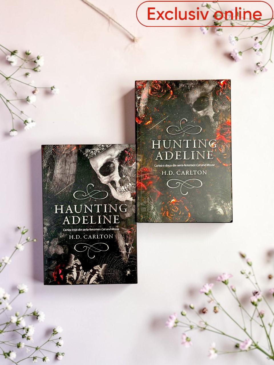 Pachet promotional Cat and Mouse