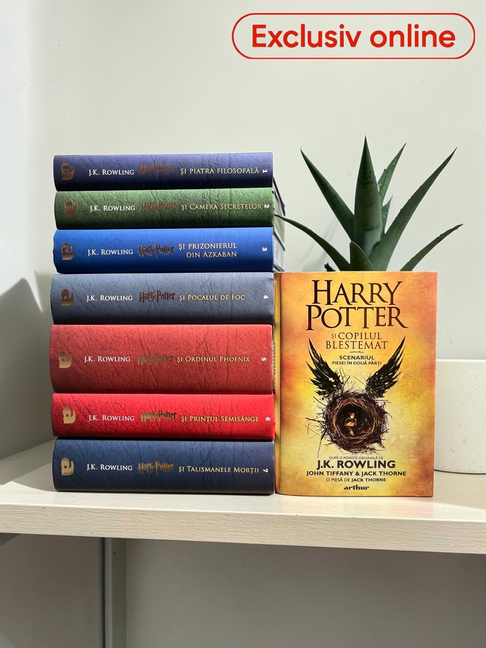 Pachet promotional Harry Potter