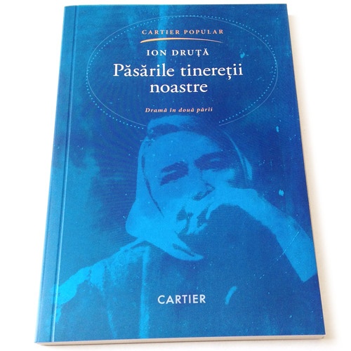 Pasarile tineretii noastre. Ion Druta