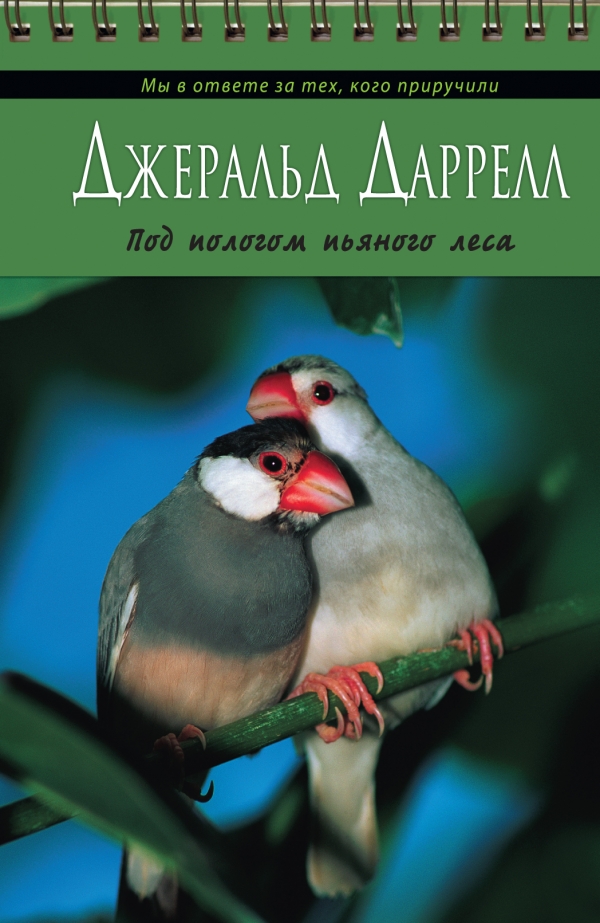 Под пологом пьяного леса