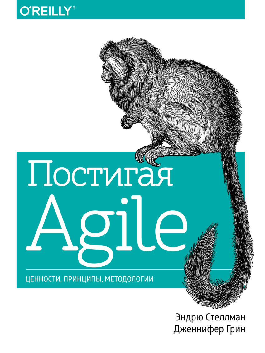 Постигая Agile Ценности принципы методологии