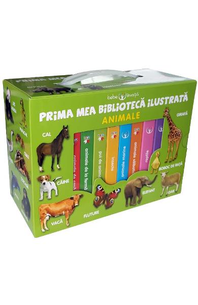 Prima mea biblioteca ilustrata Animale Bebe invata ( 8 carticele )