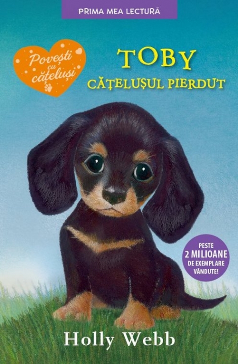 Prima mea lectura. Toby catelusul pierdut. Holly Webb