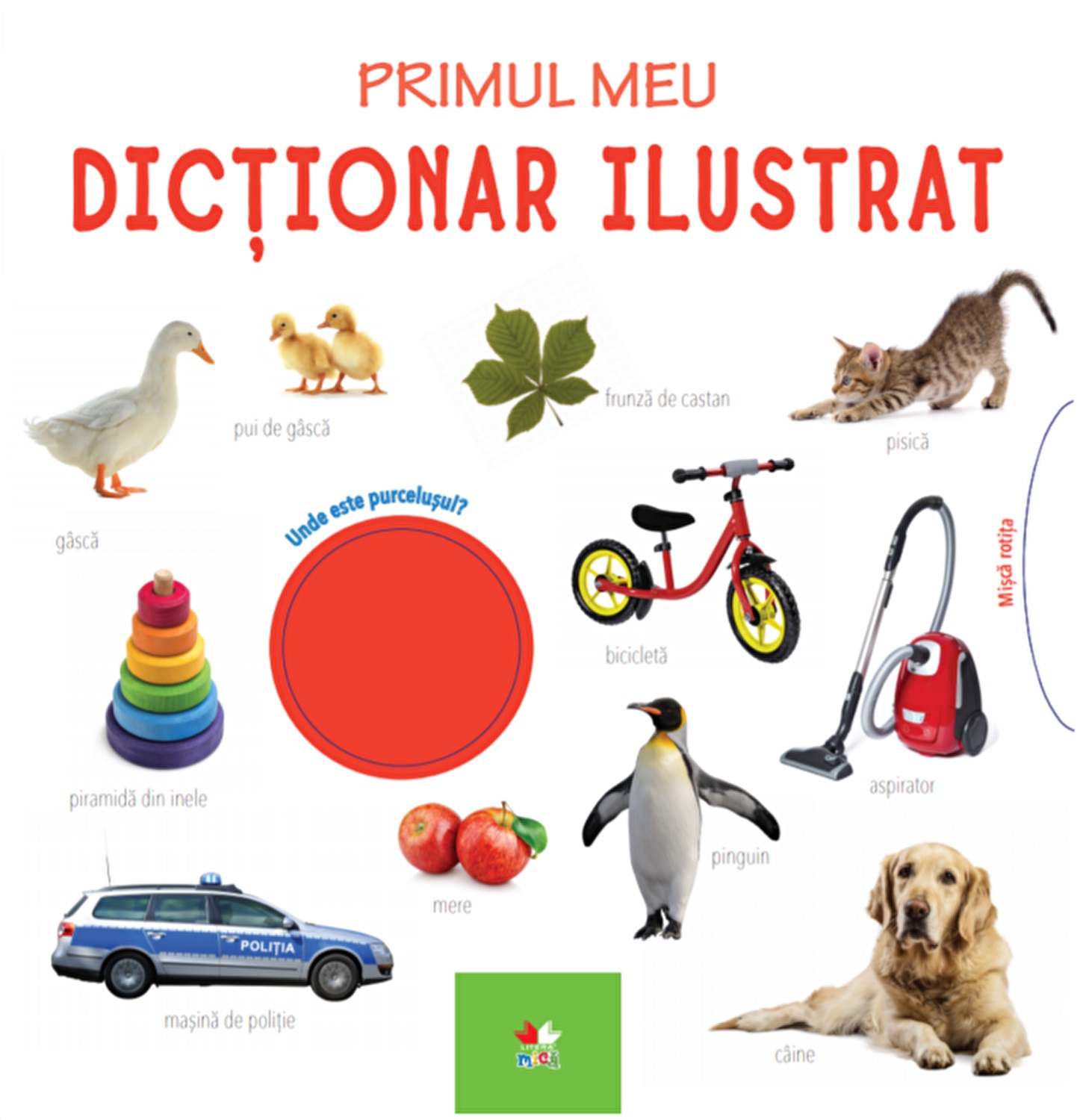 PRIMUL MEU DICTIONAR ILUSTRAT Bebe invata