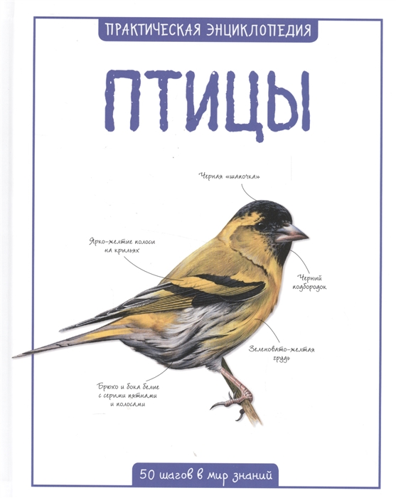 Птицы