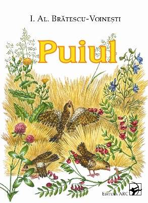 Puiul. Bratescu-Voinesti Al.