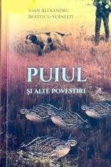 Puiul