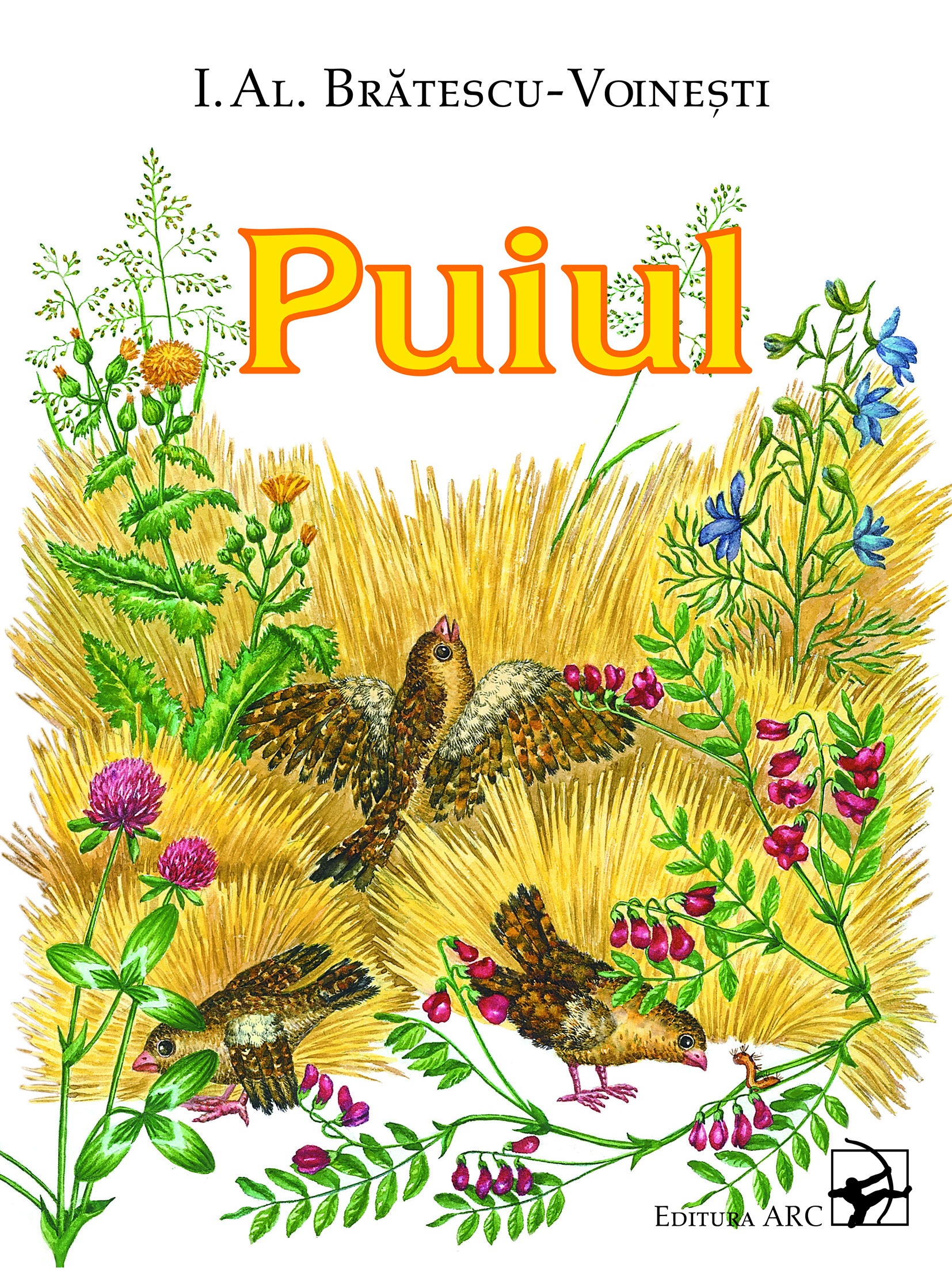 Puiul