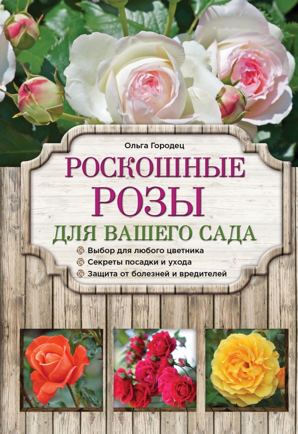 Роскошные розы для вашего сада
