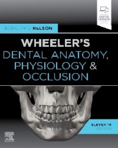 Stanley J. Nelson  Wheeler's Dental Anatomy Physiology and Occlusion 11th Edition. - Publisher: Elsevier 2019