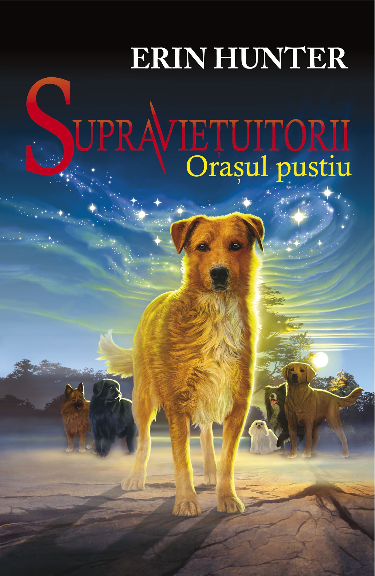 Supravietuitorii vol. 1. Orasul pustiu