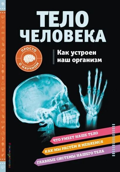 Тело чеовека. Как устроен наш организм