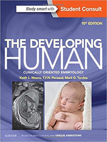 The Developing Human Clinically Oriented Embryology / Keith L. Moore & T. V. N. Persaud & Mark G. Torchia .