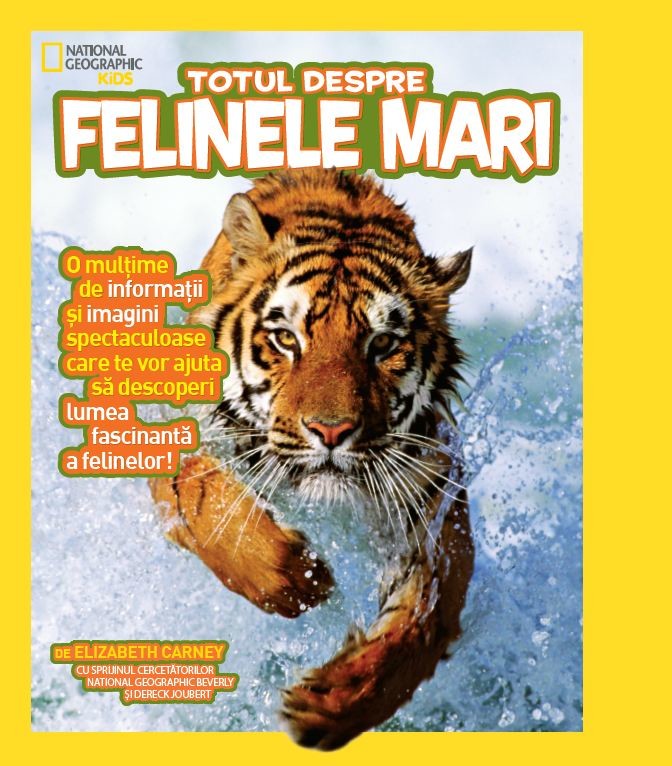 Totul despre felinele mari