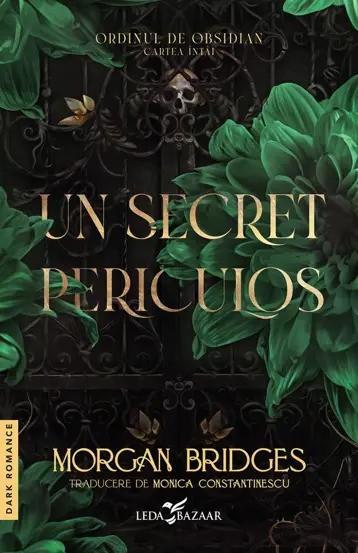 Un secret periculos (prima carte din serie „Ordinul de Obsidian”)