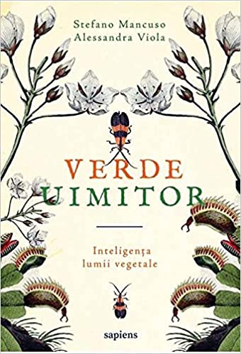 Verde uimitor