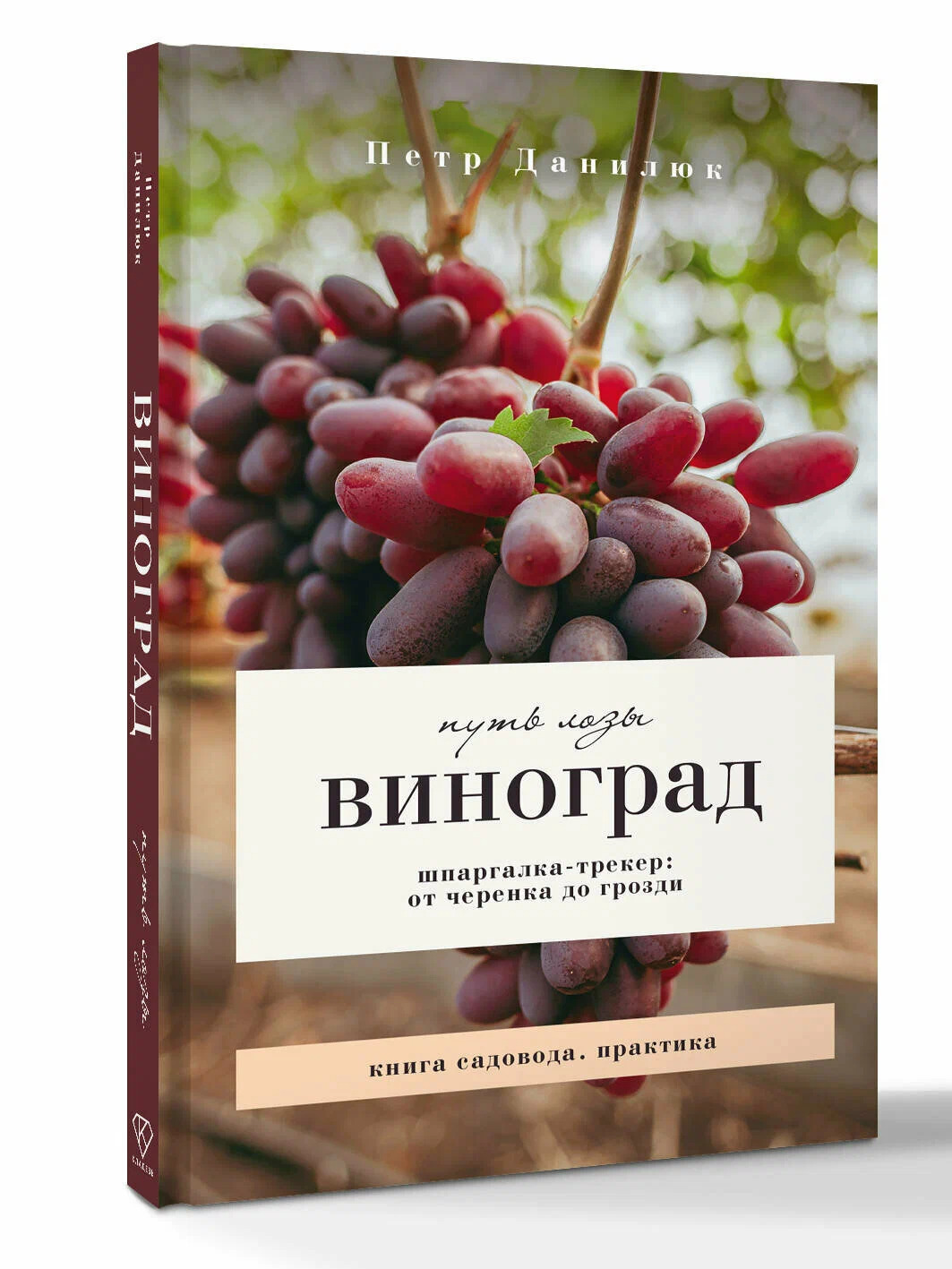 Виноград. Путь лозы. Шпаргалка-трекер: от черенка до грозди
