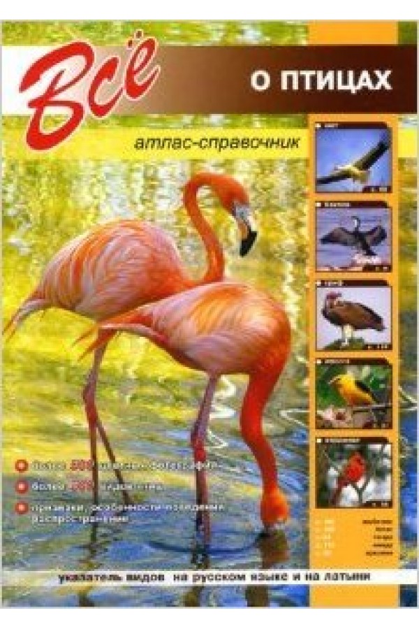 Все о птицах
