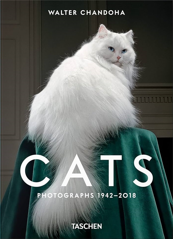 Walter Chandoha. Cats. Photographs 1942–2018